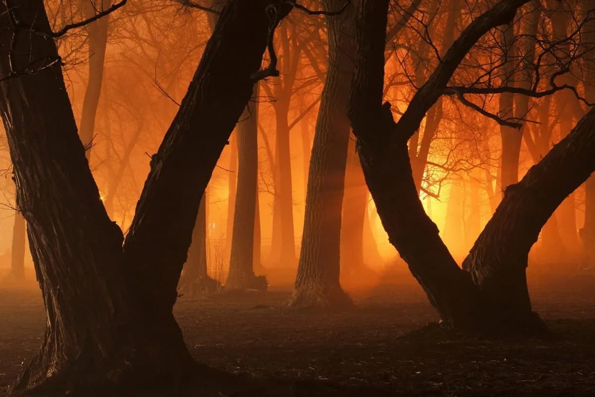 Spain Wildfire Emergency